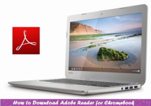 Download Adobe Reader for Chromebook