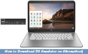 DS Emulator for Chromebook